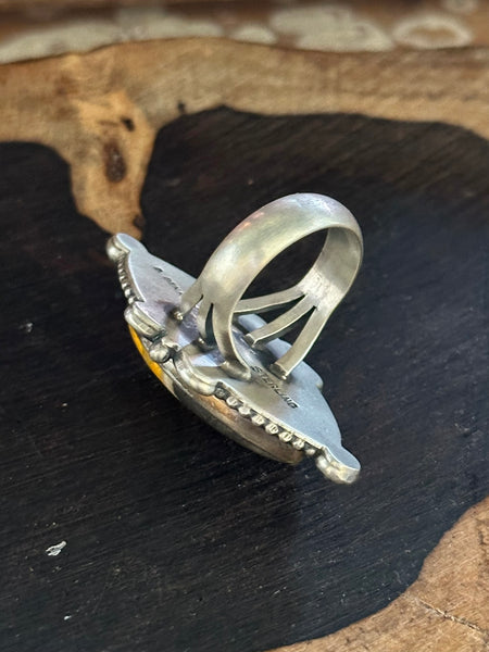 DANIEL BENALLY Jasper and Sterling Silver Statement Ring