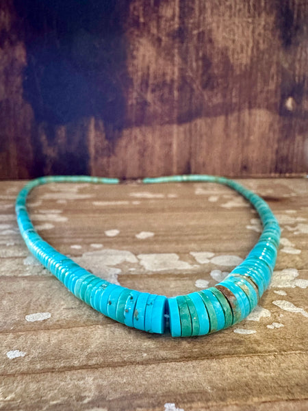 SEA OF TURQUOISE Beaded Necklace Strand • 30g