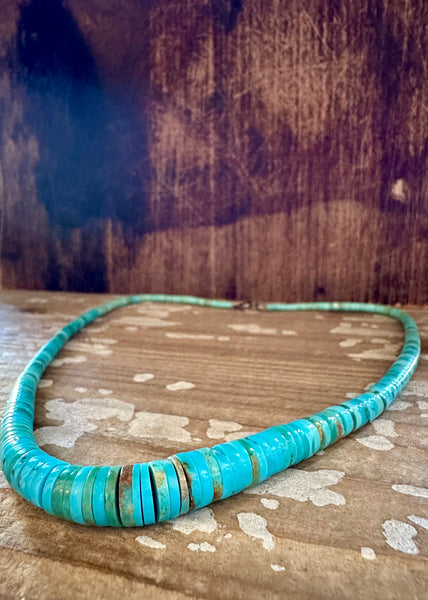 SEA OF TURQUOISE Beaded Necklace Strand • 30g