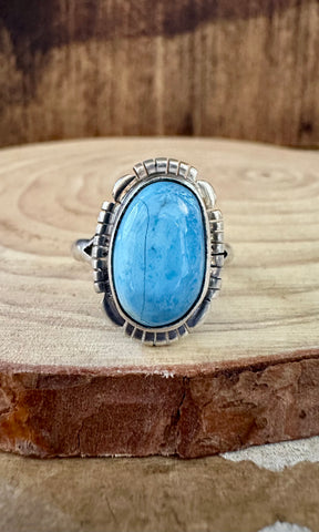 JEROLD FRANCISCO Turquoise and Sterling Silver Ring • Size 8