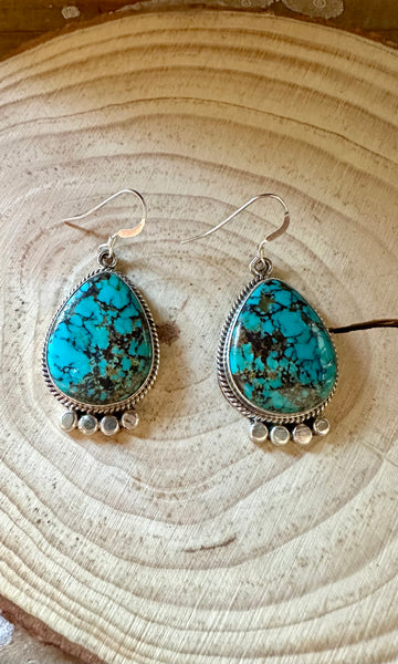 LANDSCAPE NAVAJO TURQUOISE Sterling Silver Earrings